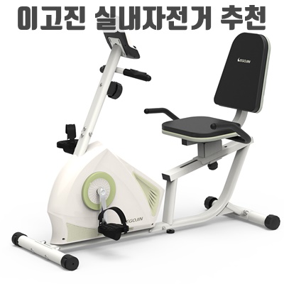 1.이고진 좌식 실내자전거 266R_이미지(imge)입니다.