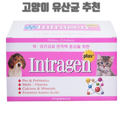 1.인트라젠 플러스 반려동물 영양제_이미지(imge)입니다.